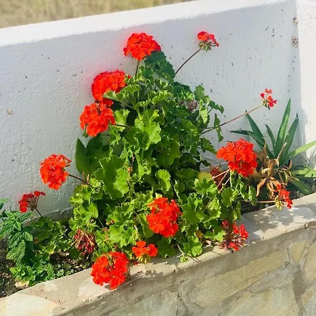 Πανσιόν Manousos