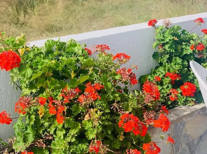 Manousos Gæstehus Adamantas